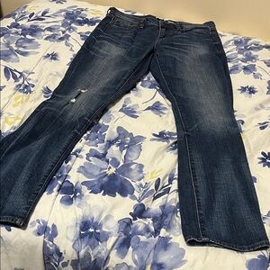 J. Crew Indigo Straight Leg Women's Jeans